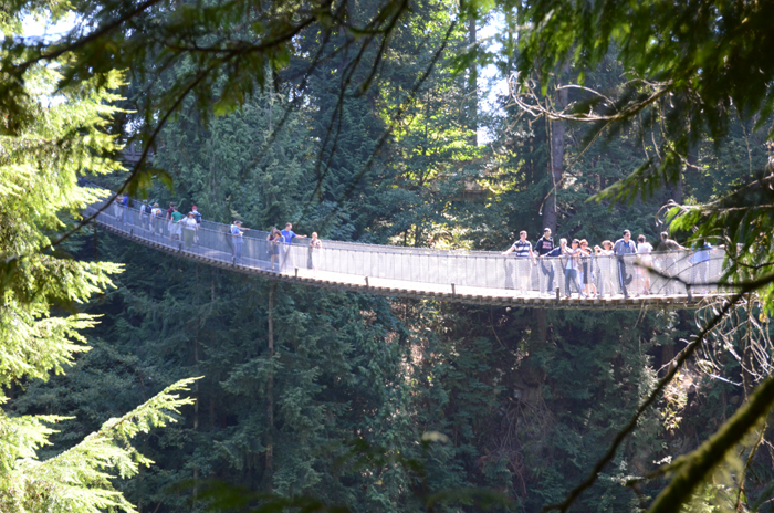 grouse mountain capilano suspension bridge reviews