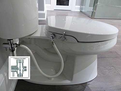 heated toilet seat bidet reviews