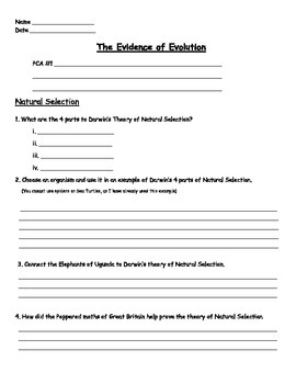 evolution and natural selection review packet answers