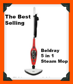 5 in 1 steam mop reviews