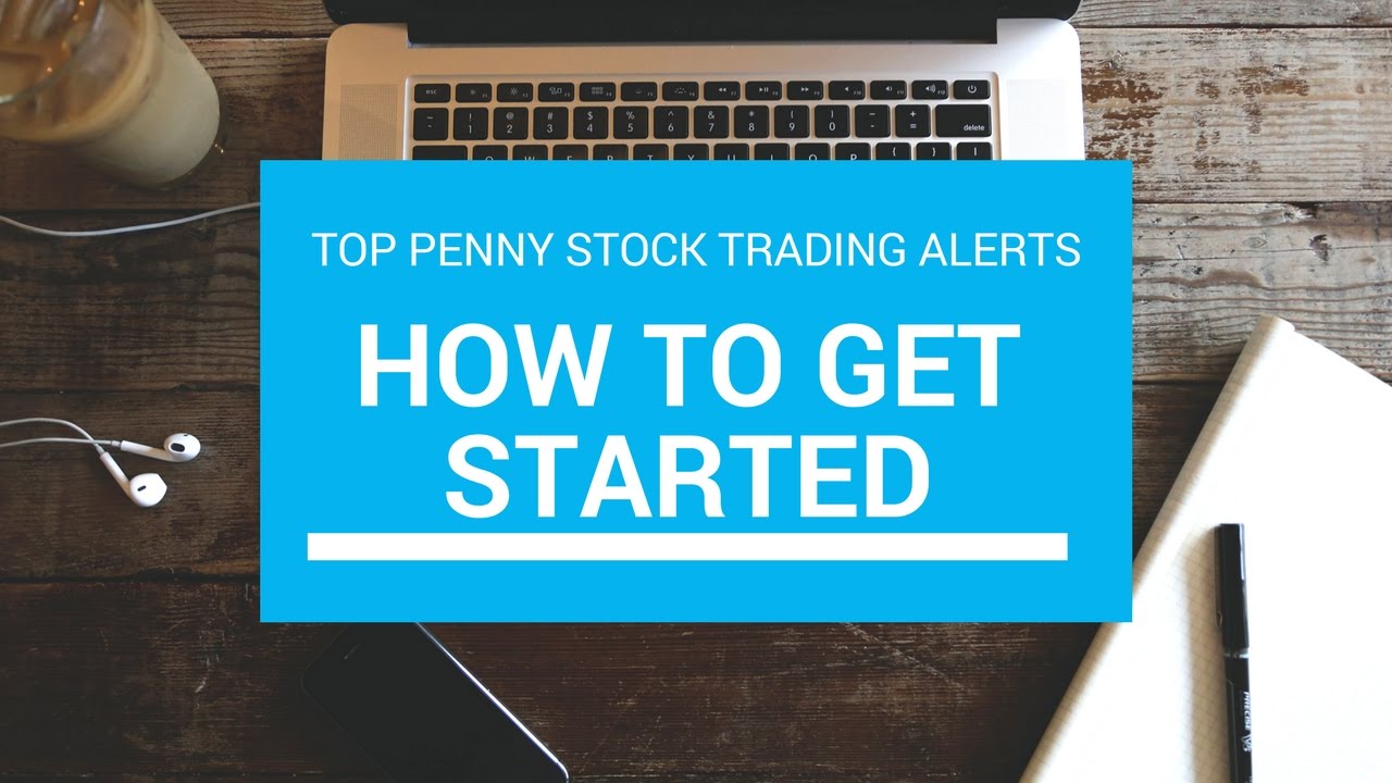 best penny stock alerts review
