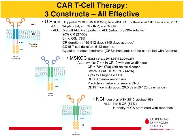 car t cell review 2017