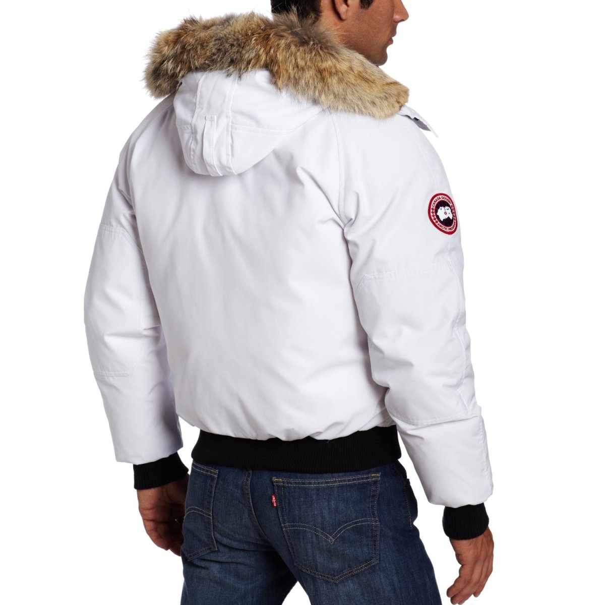canada goose chilliwack bomber review